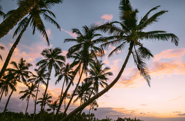 istock Vanilla sky sunset over the  tropical beach in Sri Lanka 1067570758