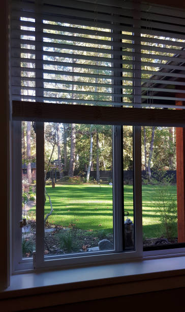 istock Outside View To A Sun Dappled Residential Back Yard 1067574900