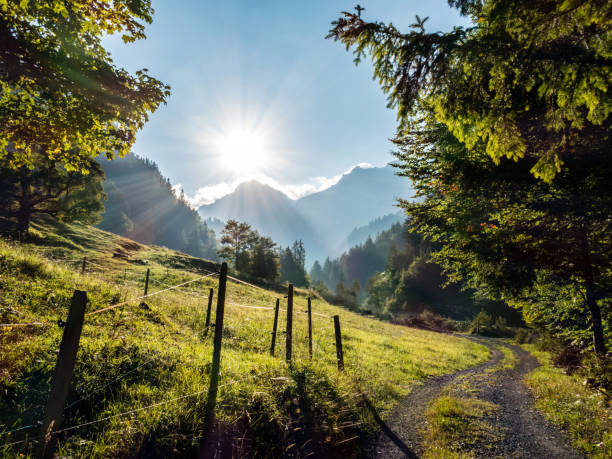 пешеходная тропа на восходе солнца, от киентала в направлении шилторна, бернские альпы, швейцария - mountain sunrise scenics european alps стоковые фото и изображения