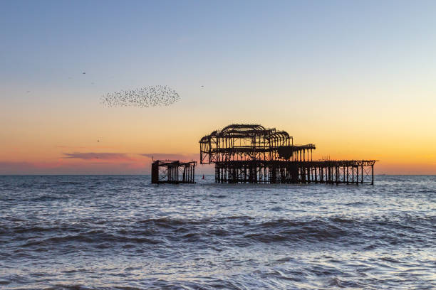 Brighton Sunset Sunset at Brighton Beach, with a Murmuration of Starlings Beside the Old West Pier Hove stock pictures, royalty-free photos & images