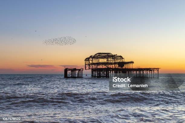 Brighton Sunset Stock Photo - Download Image Now - Hove, Sunset, Murmuration