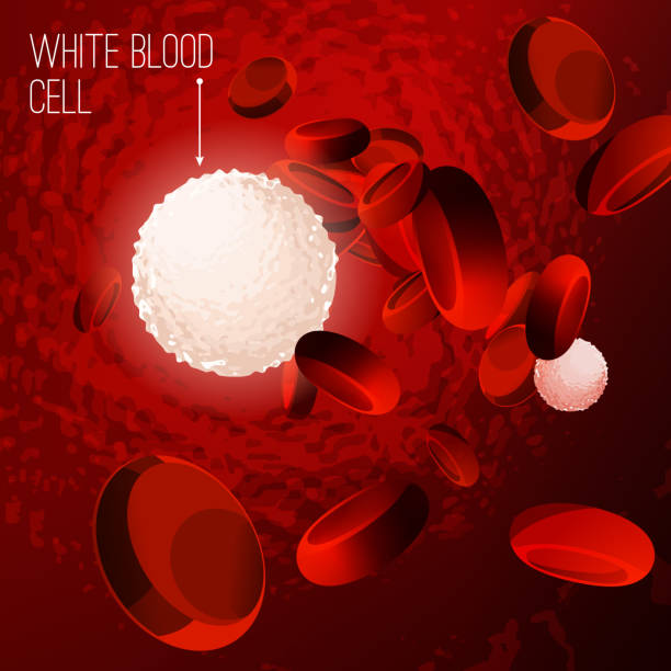 illustrazioni stock, clip art, cartoni animati e icone di tendenza di sfondo cellule del sangue - white blood cell human immune system virus cell