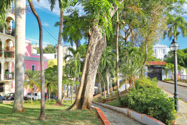 istock San Juan streets at sunset 1067602850