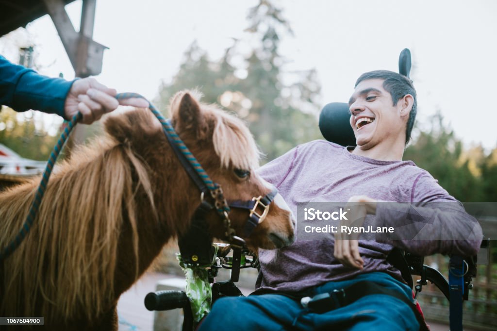 Confident Young Man In Wheelchair Visits Therapy Horse A cheerful young adult man with cerebral palsy spends time with a pony, used as a therapy animal. Disability Stock Photo