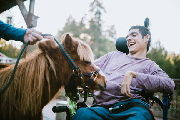 Confident Young Man In Wheelchair Visits Therapy Horse A cheerful young adult man with cerebral palsy spends time with a pony, used as a therapy animal. developmental disability stock pictures, royalty-free photos & images