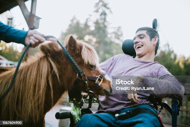 Confident Young Man In Wheelchair Visits Therapy Horse Stock Photo - Download Image Now