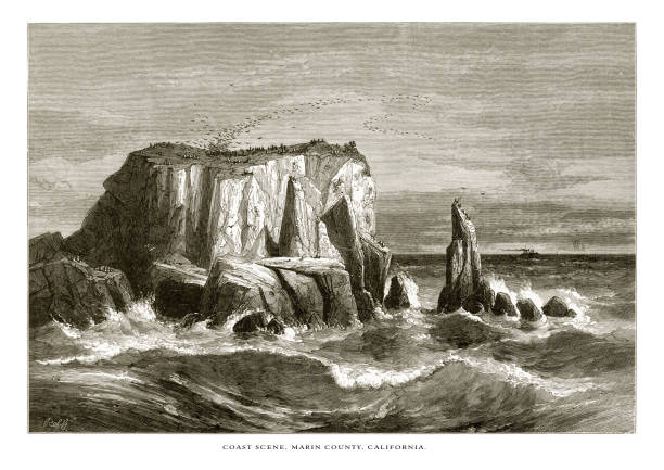 illustrazioni stock, clip art, cartoni animati e icone di tendenza di coast scene, contea di marin, sulla costa della california, stati uniti, american victorian engraving, 1872 - russian culture