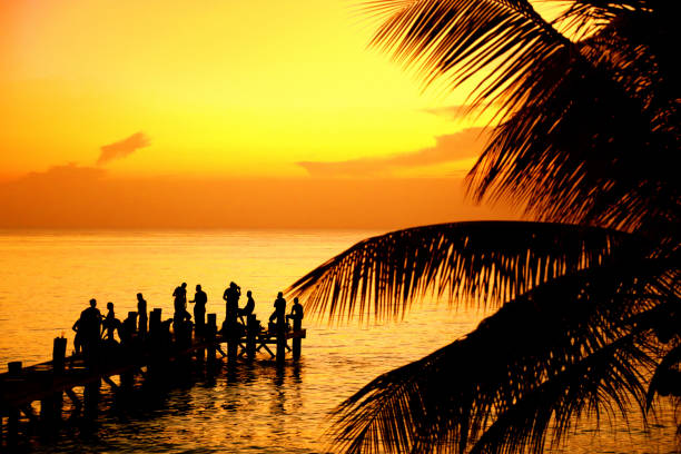 Silhouetted people dancing and having fun on beach with palm trees over orange colored seascape and sunset sky in Cozumel, Mexico