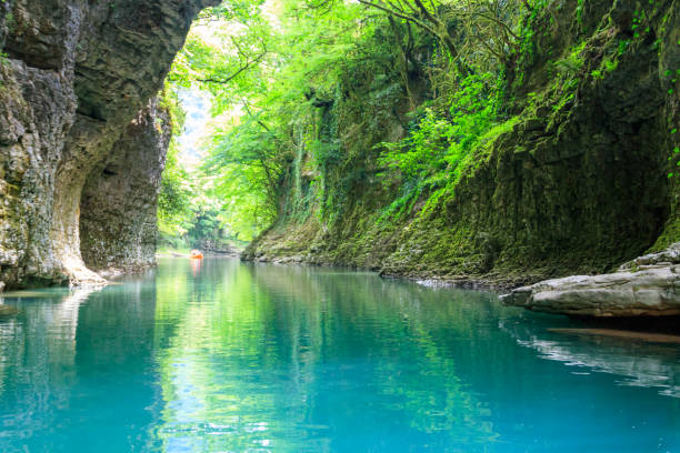 istock Martvili canyon in Georgia 1067611396