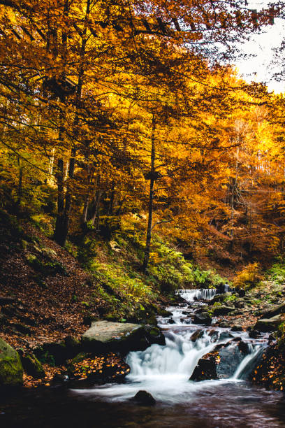 istock Autumn in the Carpathian mountains 1067613854