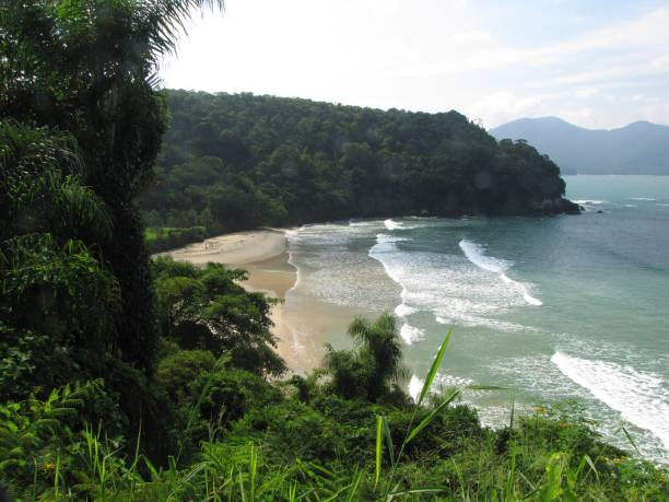 istock Panorama of a tropical beach 1067615976
