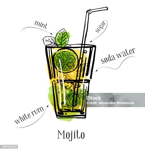 Line Drawing Raspberry Mojito Mojito Cocktail Recipe Description With Ingredients Vector Sketch ...