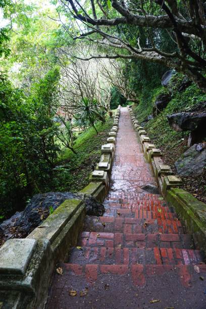 istock Ancient brick walkway through tropical jungle on Mount Phousi in Luang Prabang, Laos 1067622872