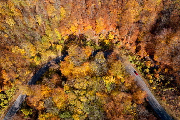 istock Red Car on Curvy Road Through Autumn Forest 1067623778