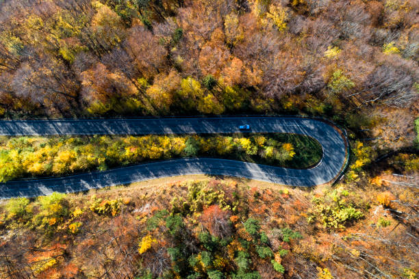 istock Car on Winding Road Through Autumn Forest, Aerial View 1067627388