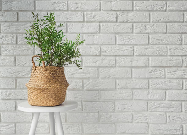 istock Green plant in a decorative basket in modern interior 1067629514