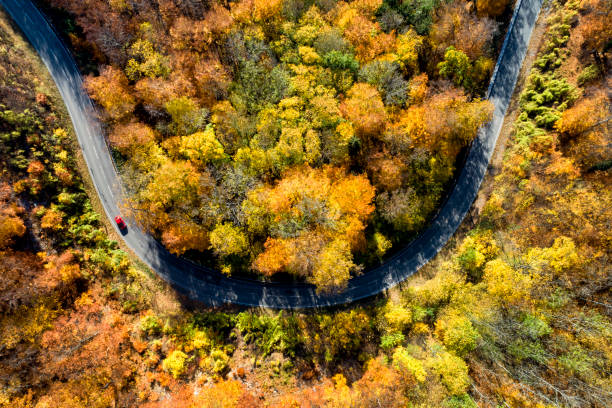 istock Red Car on Curvy Road Through Autumn Forest 1067630118