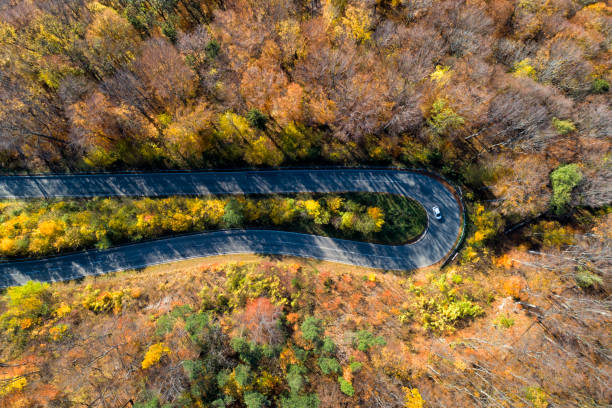 istock Curvy Road Through Autumn Forest, Aerial view 1067630252