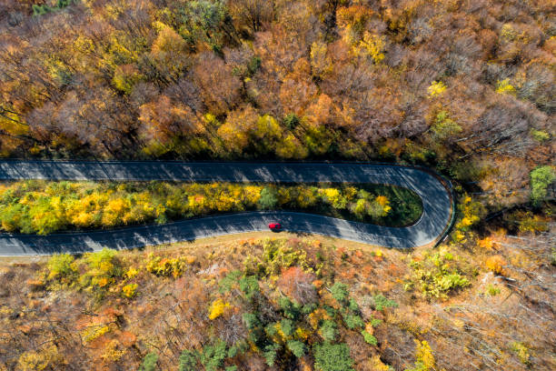 istock Red Car on Winding Road Through Autumn Forest, Aerial View 1067632006