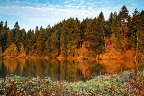 istock Percivil Cove, Olympia Washington 1067646678
