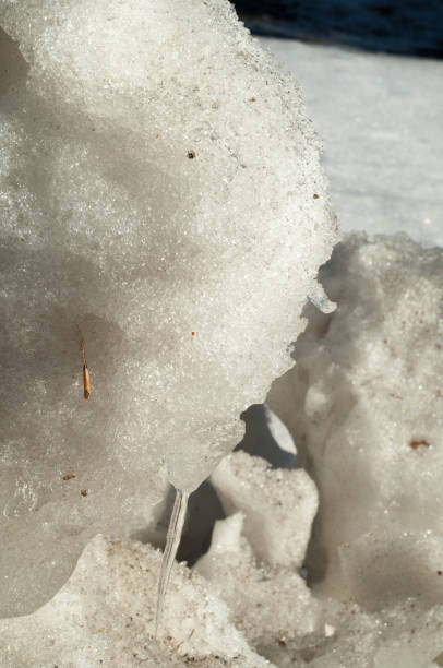 istock Texture, background, pattern. The spring snow melts. The beginning of a warm season, spring. Melting snow on the ground in the city with a mild morning sunlight. 1067650510