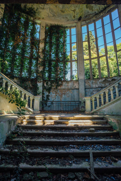 Ruins of an overgrown staircase.