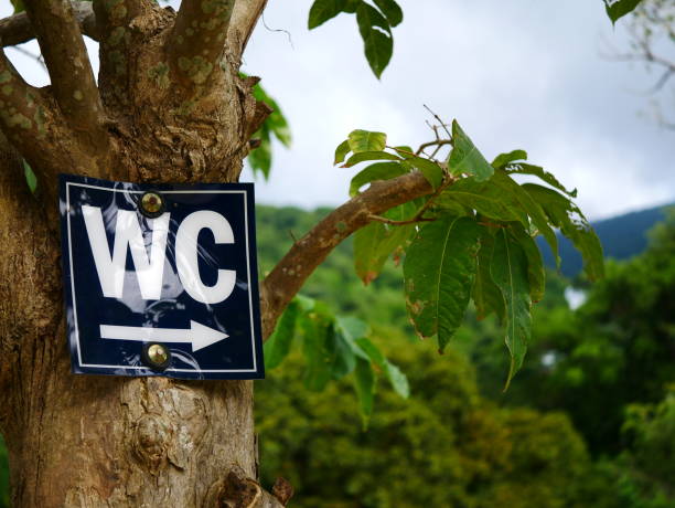 istock WC Toilet sign 1067658350