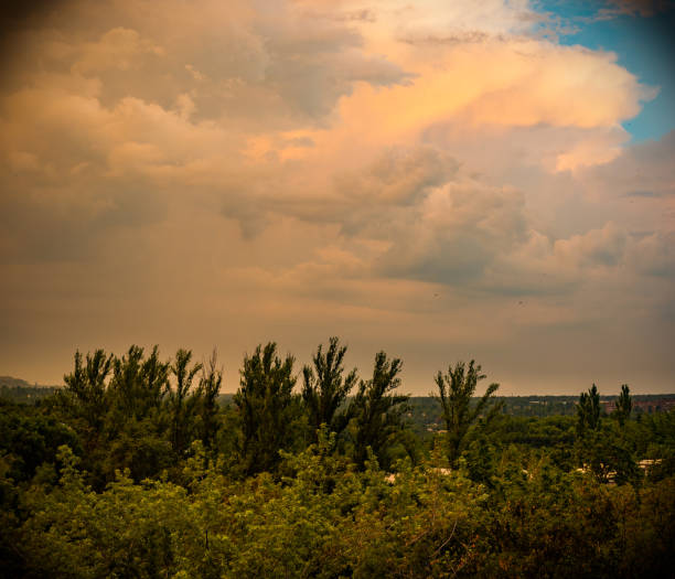 A Beutiful Short Of Monsoon Season Cloud And Tree Nature Beauty