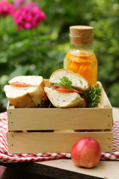 istock picnic - sandwiches and lemonade 1067673618