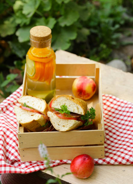 istock picnic - sandwiches and lemonade 1067673634
