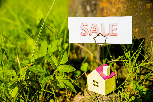 small house .Hands presenting a small model of a house isolated on green background for sale.Little House on the hands, symbol of a successful real estate business. estate sale