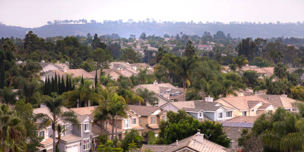 istock Homes and lush trees in San Clemente California 1067685802