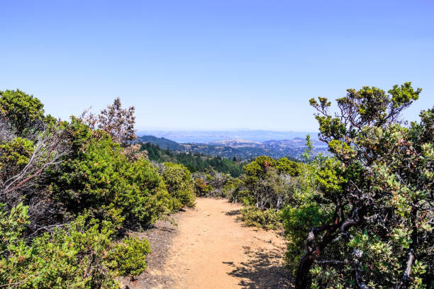 istock Trail in Mt Tamalpais State Park 1067686368