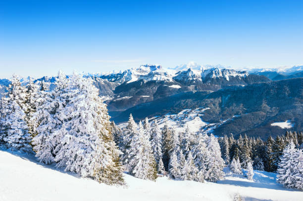 istock Snow-covered trees in the mountains 1067694328