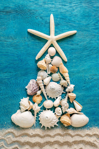 istock Christmas tree made from different type of sea shells and starfish with sand decoration on blue wooden background, top view, vertical composition 1067694564