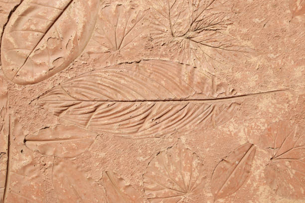 istock marks of leaf on the concrete 1067699122