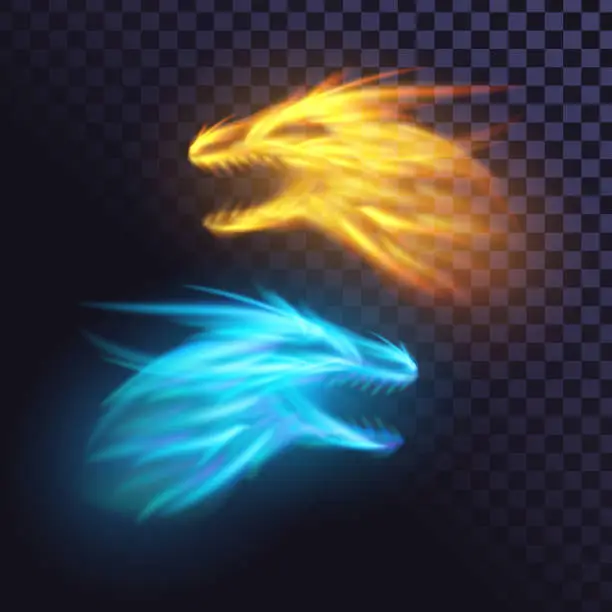 Vector illustration of Fire dragons