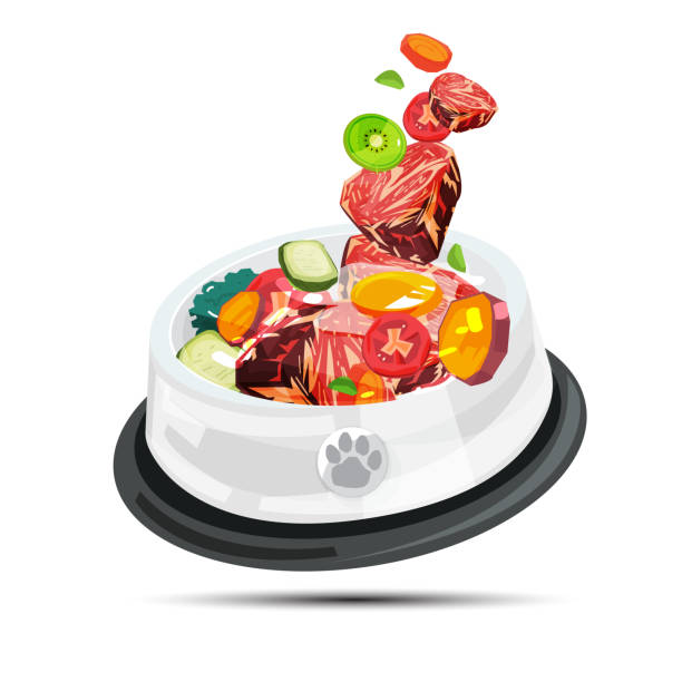 ilustraciones, imágenes clip art, dibujos animados e iconos de stock de tazón de fuente de alimentación barf para mascota. alimentos saludables para mascotas - vector - dog vegetable carrot eating