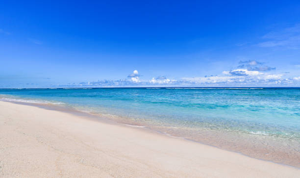 istock Coco Palm Garden Beach in Guam 1067705176