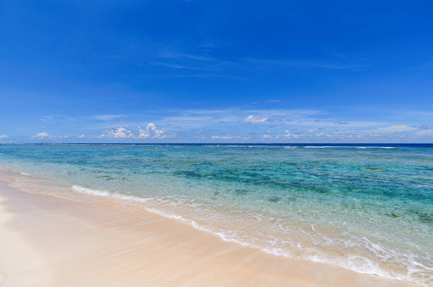 istock Coco Palm Garden Beach in Guam 1067705366