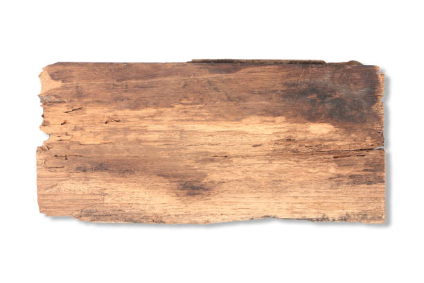 stare drewno deski izolowane na białym tle - driftwood wood weathered plank zdjęcia i obrazy z banku zdjęć