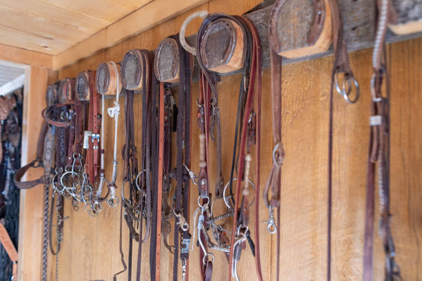 istock Rodeo and Horse Riding Equipment in a Barn 1067716594