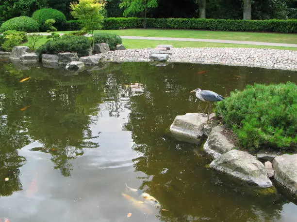 Photo of View of a pond in the Kyoto Garden in the Holland Park in London, UK.
