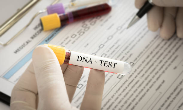 DNA test Scientist analyzing DNA result for check genetics and forensics science. chromosome photos stock pictures, royalty-free photos & images