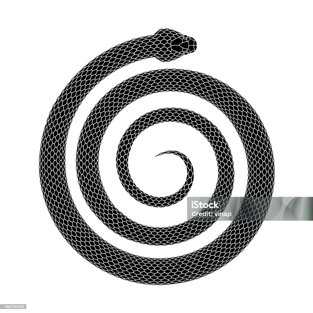 Vector Tattoo Design Of Snake Coiled In A Spiral Shape Stock Illustration -  Download Image Now - iStock