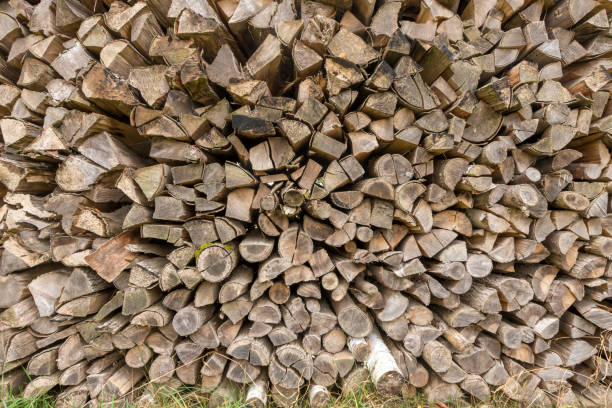 istock Old weathered firewood stacked format-filling as a background 1067729460