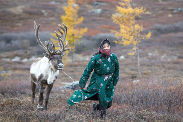 donna tsaatan con renne nel paesaggio mongolo settentrionale - cothing foto e immagini stock