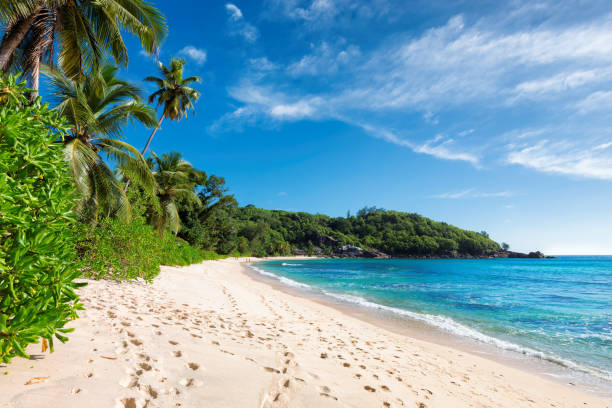 istock Paradise beach on Tropical island 1067740642