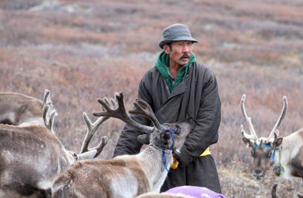 istock tsaatan man, dressed in a traditional deel (traditional mongolian coat) with his reindeer 1067741196