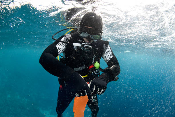 istock Scuba diver swimming near the water surface 1067742058